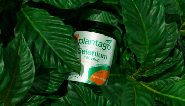 Plantago ܇(ch)ǰʳI(yng)B(yng)a(b)䄩ˎƷbO(sh)Ӌ(j)ˇg(sh)~Ԫ