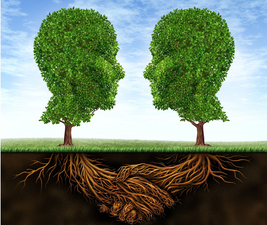 廣告創(chuàng)意設計,要善于利用“已知決定未知”的認知反應模式 廣告創(chuàng)意設計,要善于利用“已知決定未知”的認知反應模式