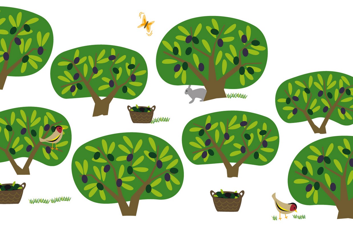 Melgarejo 特級初榨橄欖油包裝設(shè)計底圖-尚略包裝設(shè)計公司 Melgarejo 特級初榨橄欖油包裝設(shè)計底圖-尚略包裝設(shè)計公司