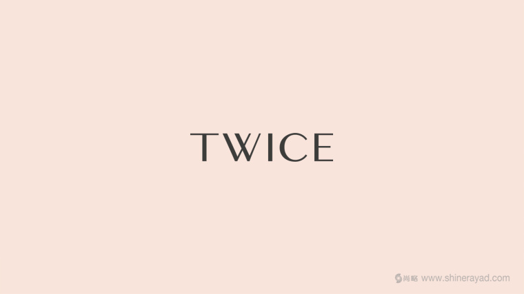 Twice 時尚配飾與皮包皮具LOGO設計-上海logo設計公司2 Twice 時尚配飾與皮包皮具LOGO設計-上海logo設計公司2