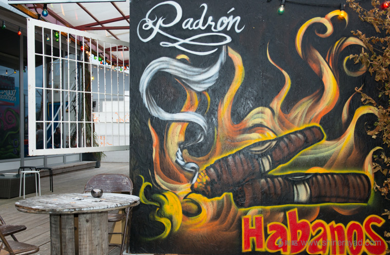 碼頭夜總會海洋生物文化墻壁紙插畫設計--上海品牌設計公司欣賞7