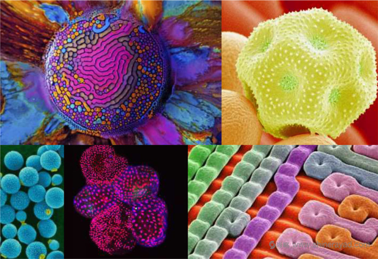 德國(guó)默克集團(tuán)新英文文字商標(biāo)LOGO設(shè)計(jì)-上海LOGO設(shè)計(jì)公司設(shè)計(jì)資訊4