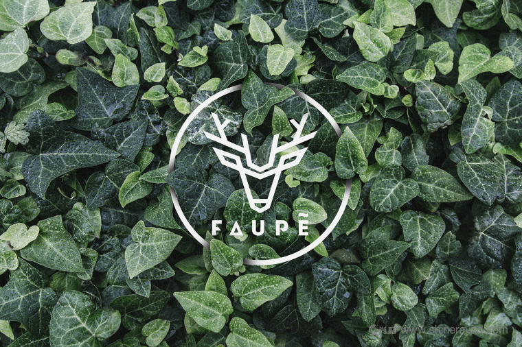 FAUPè 高級(jí)時(shí)尚女裝服飾品牌形象設(shè)計(jì)13