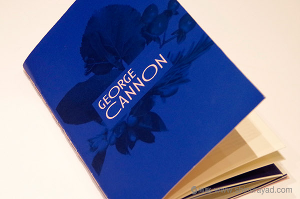Thés George Cannon 茶葉品牌宣傳畫冊設計-上海畫冊設計公司7