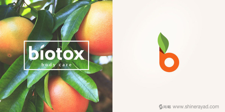 Biotox 天然水果有機(jī)護(hù)膚品標(biāo)志設(shè)計4 Biotox 天然水果有機(jī)護(hù)膚品標(biāo)志設(shè)計4