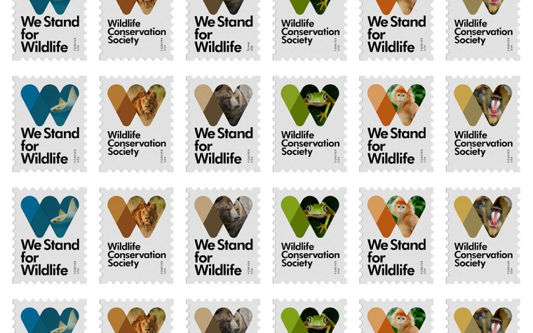 WCS國際野生生物保護學會品牌VI形象設計-上海VI設計公司5