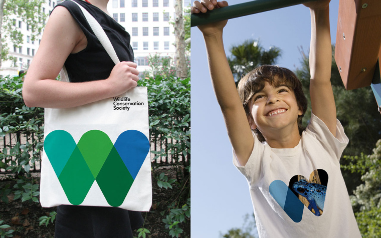 WCS國際野生生物保護學會品牌VI形象設計-上海VI設計公司6