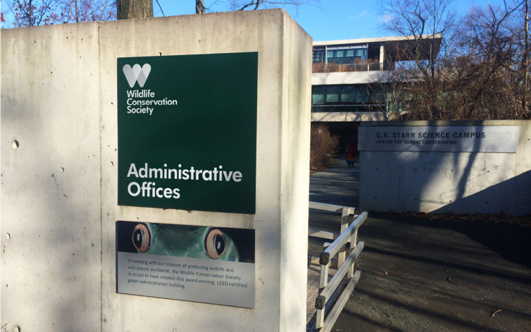 WCS國際野生生物保護學會品牌VI形象設計-上海VI設計公司8