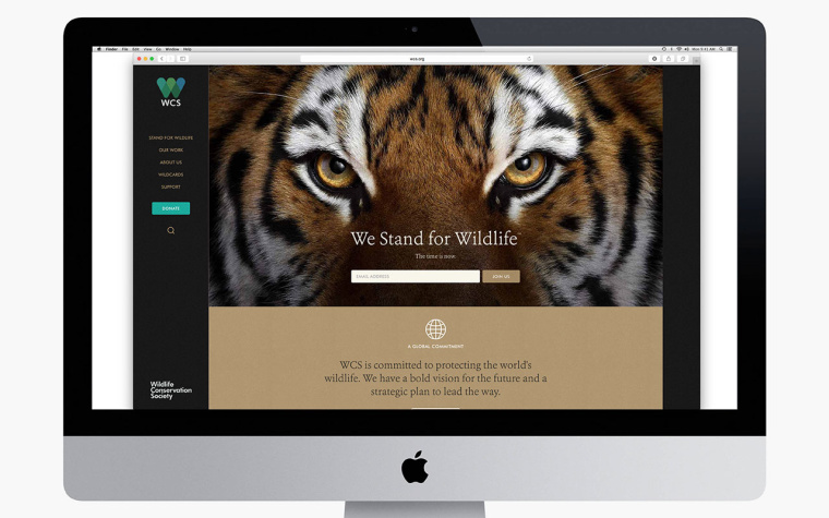 WCS國際野生生物保護學會品牌VI形象設計-網(wǎng)站設計--上海VI設計公司11