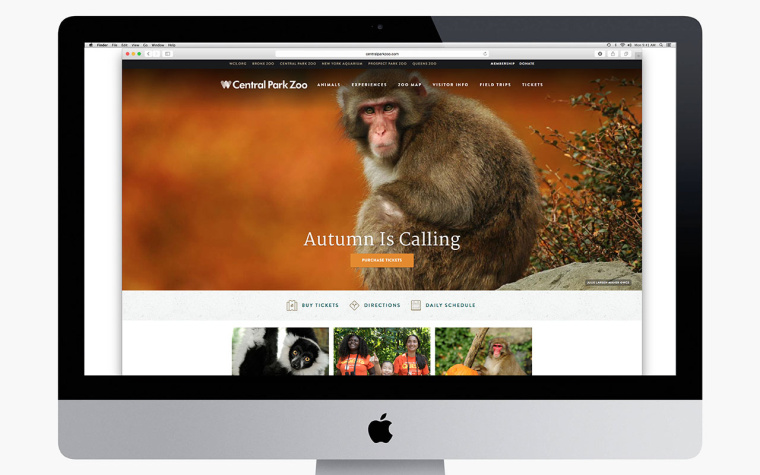 WCS國際野生生物保護學會品牌VI形象設計-網(wǎng)站設計-上海VI設計公司12