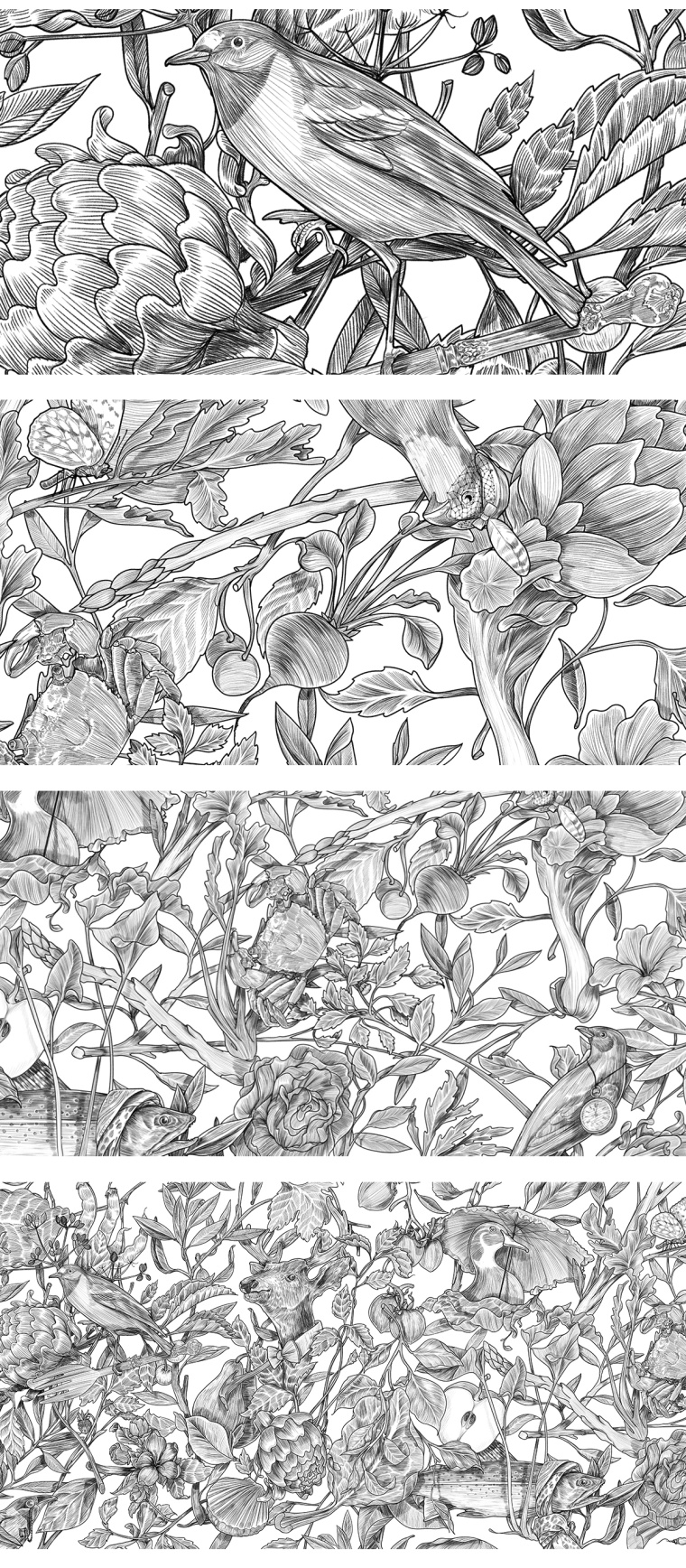 Botanique 餐廳植物鳥兒商業(yè)藝術插畫設計-上海品牌形象設計公司2