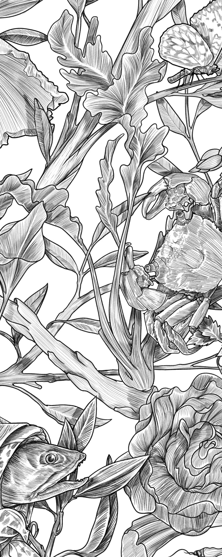 Botanique 餐廳植物鳥兒插畫設計-上海品牌形象設計公司5