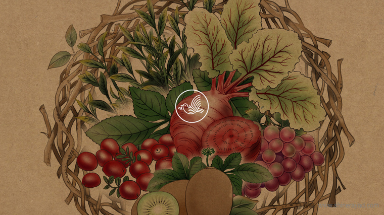 臺(tái)灣樂(lè)酶酵素包裝設(shè)計(jì)-上海包裝設(shè)計(jì)公司包裝佳作欣賞1