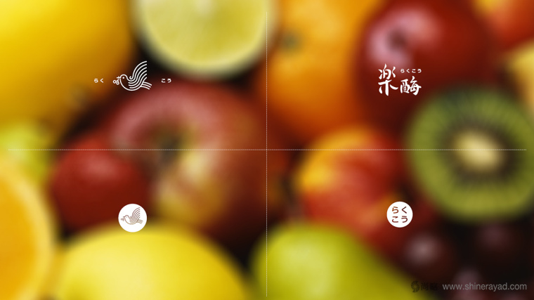 臺(tái)灣樂(lè)酶酵素品牌LOGO設(shè)計(jì)10