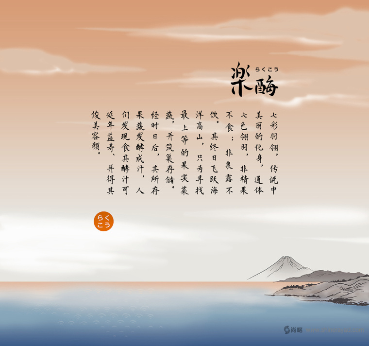 臺(tái)灣樂(lè)酶酵素品牌LOGO設(shè)計(jì)與包裝設(shè)計(jì)-上海包裝設(shè)計(jì)公司包裝佳作欣賞12