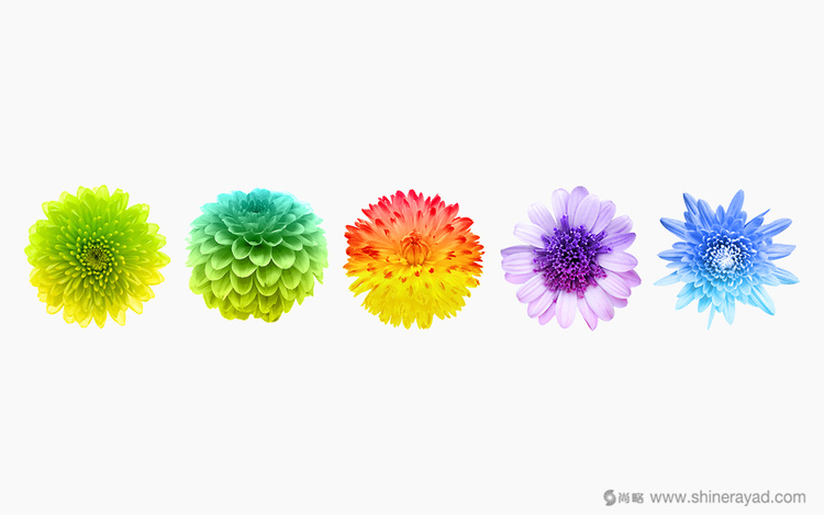 3上海包裝設(shè)計公司包裝欣賞-FOHATSU 日式花茶茶葉包裝設(shè)計-3