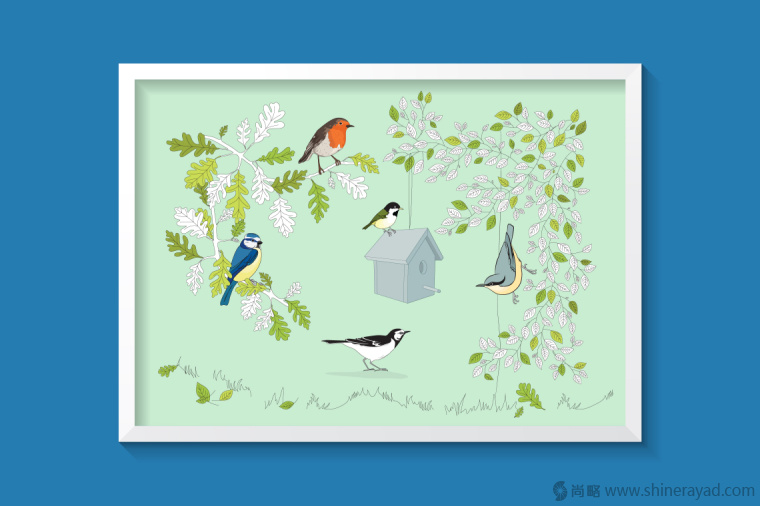 英國鳥類插畫設(shè)計(jì)-上海插畫設(shè)計(jì)公司-上海品牌設(shè)計(jì)公司2