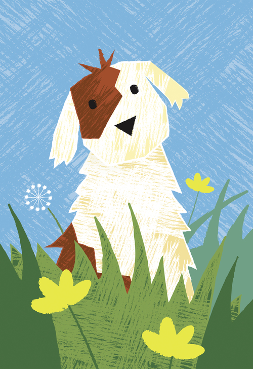 Bob Martin 寵物衛(wèi)生護(hù)理用品品牌春天系列包裝設(shè)計(jì)-上海包裝設(shè)計(jì)公司7