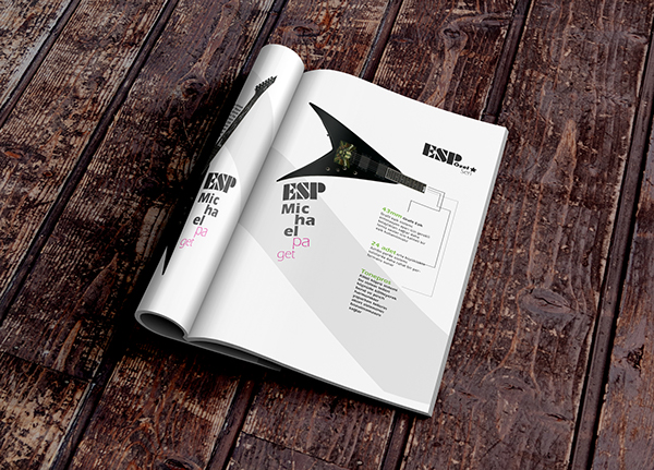 ESP吉他品牌畫冊設(shè)計欣賞－上海畫冊設(shè)計公司分享5