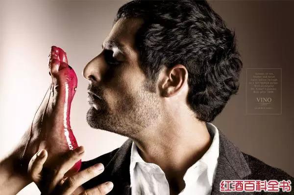 Vinosofia葡萄酒平面廣告1