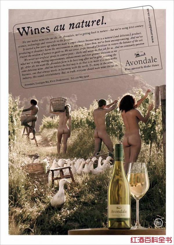 SLO Down葡萄酒平面廣告創(chuàng)意設(shè)計2