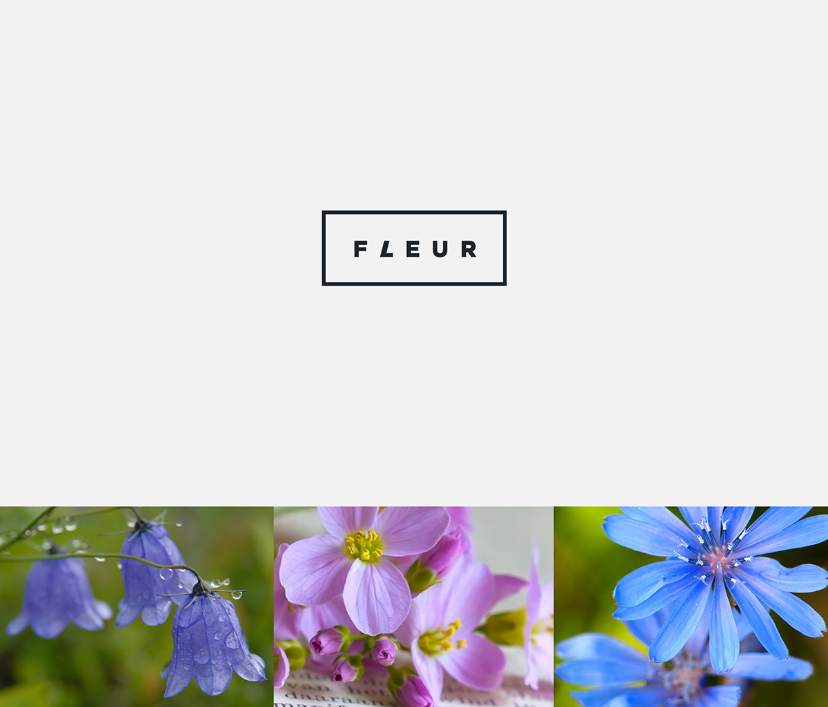 FLEUR化妝品品牌標志設(shè)計1