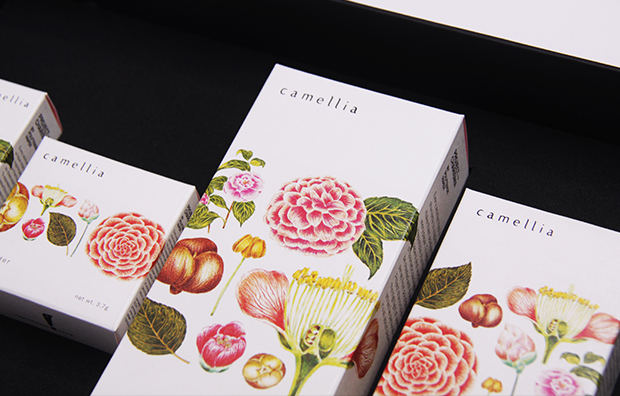 上?；瘖y品包裝設(shè)計公司設(shè)計研究：CAMELLIA 山茶花化妝品包裝設(shè)計3