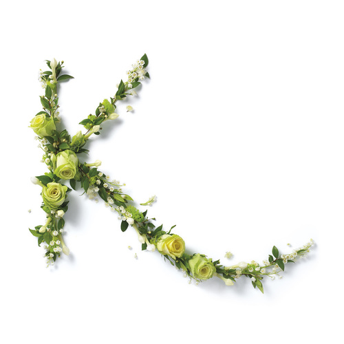 K花卉字母 K花卉字母