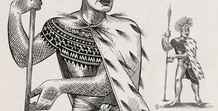 Ariki 杜松子白酒包裝設計-人物插畫設計風格3