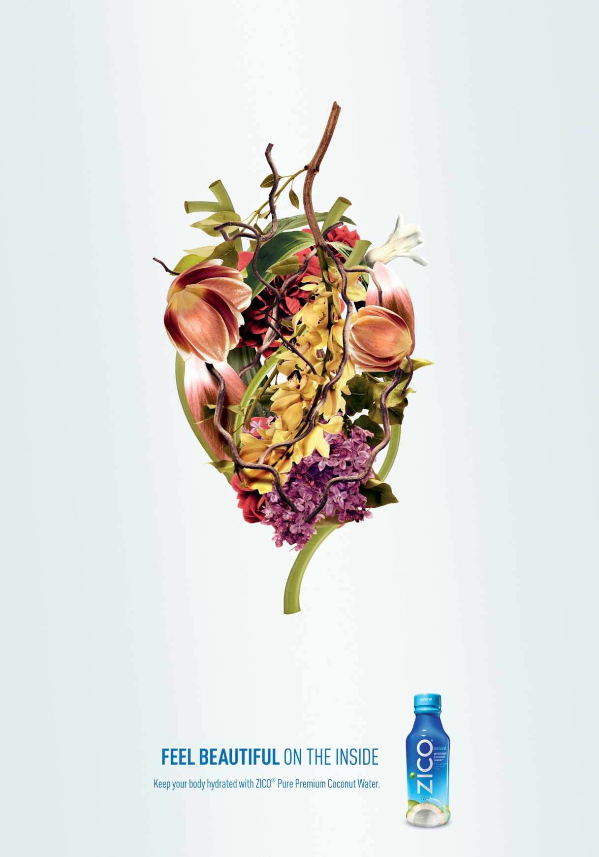 Zico 椰子水飲料創(chuàng)意平面廣告設(shè)計(jì)感受內(nèi)在之美篇-心臟篇-上海廣告設(shè)計(jì)公司-上海平面設(shè)計(jì)公司2 Zico 椰子水飲料創(chuàng)意平面廣告設(shè)計(jì)感受內(nèi)在之美篇-心臟篇-上海廣告設(shè)計(jì)公司-上海平面設(shè)計(jì)公司2