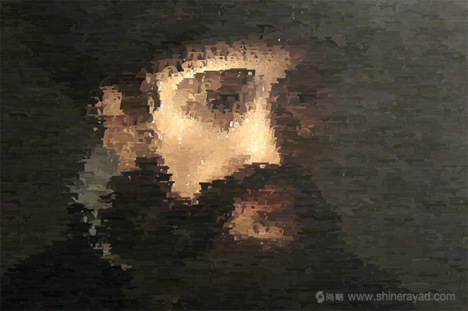 荷蘭案撰寫公司:獨(dú)特的字母圖像品牌營銷推廣宣傳19 荷蘭案撰寫公司:獨(dú)特的字母圖像品牌營銷推廣宣傳19