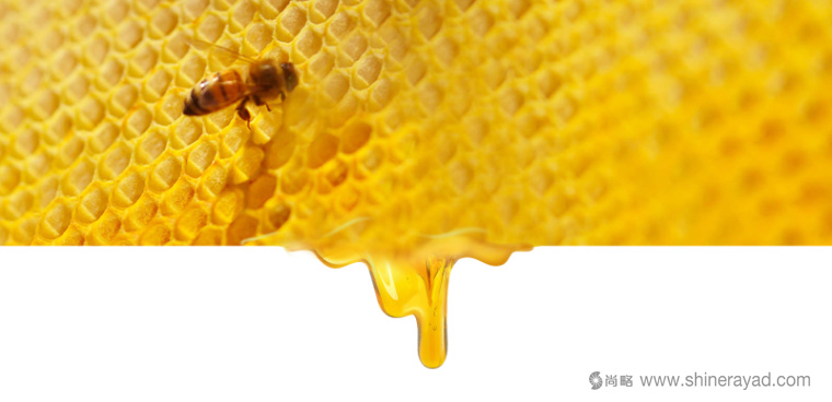 ΤΟ ΜΕΛΙ 蜂蜜金色包裝設(shè)計-上海包裝設(shè)計公司-4