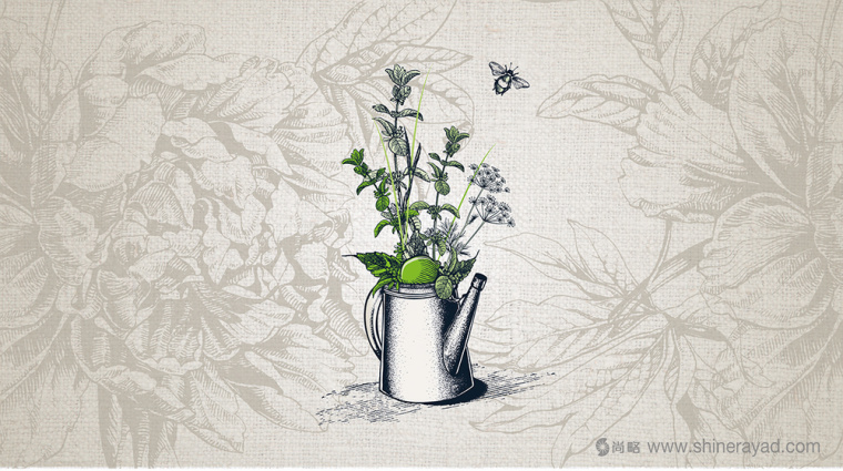 上海包裝設(shè)計公司分享Garribeil薄荷檸檬酒包裝設(shè)計5