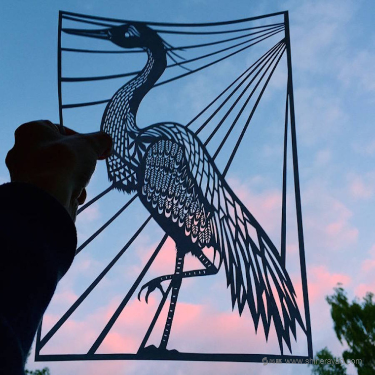 鳥類-動物剪紙藝術(shù)與剪紙攝影圖片-上海平面設(shè)計(jì)公司創(chuàng)意藝術(shù)鑒賞4