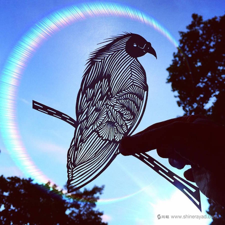 老鷹-動物剪紙藝術(shù)與剪紙攝影圖片-上海平面設(shè)計(jì)公司創(chuàng)意藝術(shù)鑒賞8