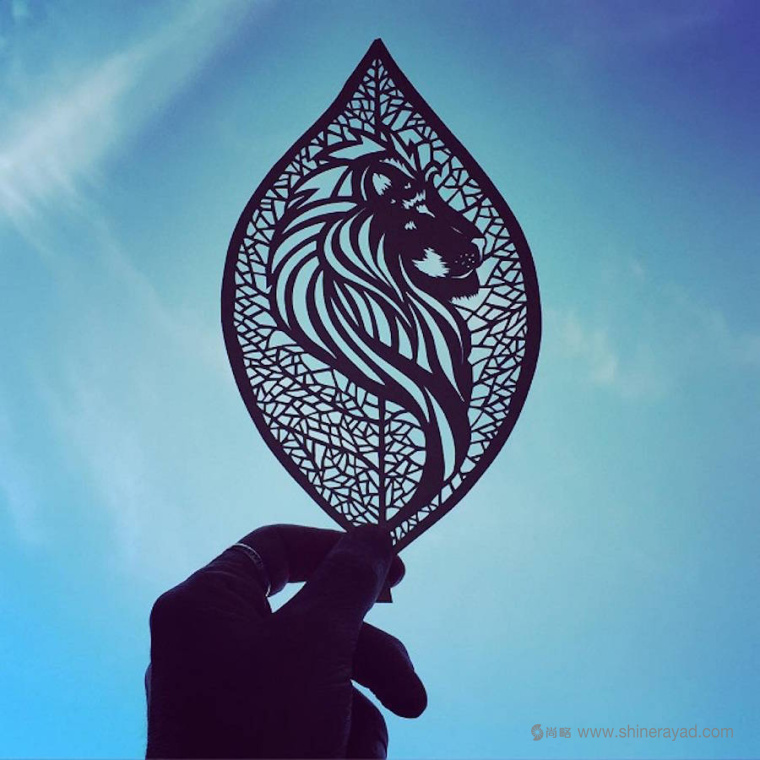 老鷹-動物剪紙藝術(shù)與剪紙攝影圖片-上海平面設(shè)計(jì)公司創(chuàng)意藝術(shù)鑒賞9