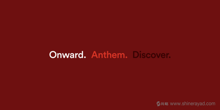 Day Comes社區(qū)公益組織品牌VI形象設(shè)計14