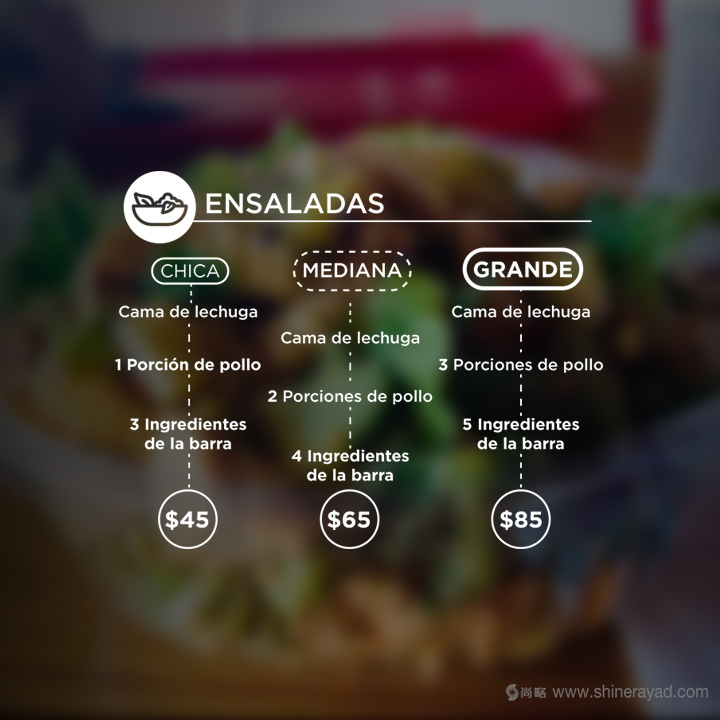 Quick Salads 沙拉有機素食餐廳VI設(shè)計8-餐廳菜單價目表設(shè)計