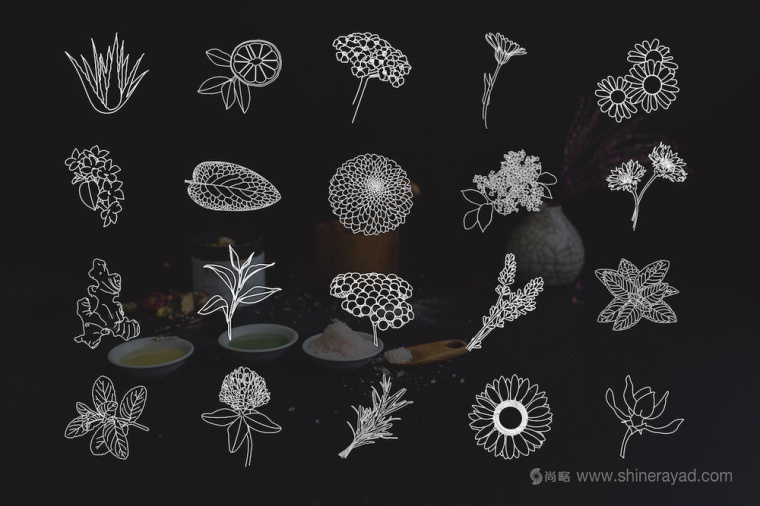 自然水彩插畫風(fēng)格 Hippie 美容護膚品包裝設(shè)計-ICON圖標(biāo)設(shè)計1 自然水彩插畫風(fēng)格 Hippie 美容護膚品包裝設(shè)計-ICON圖標(biāo)設(shè)計1