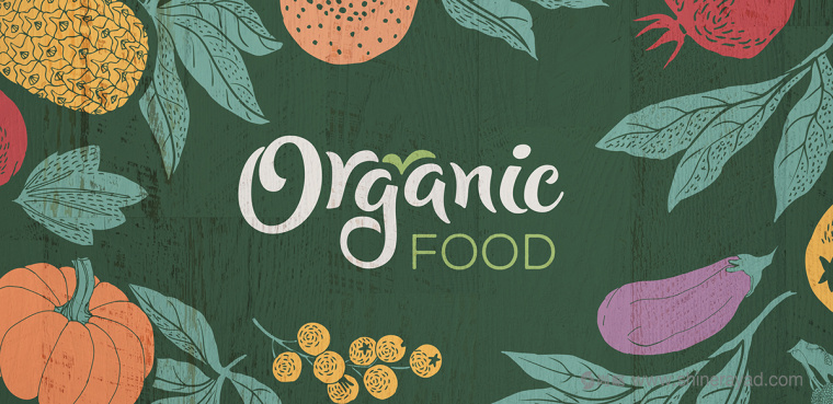 二維插畫(huà)風(fēng)格 Organic Food 有機(jī)食品蔬菜水果包裝設(shè)計(jì)-上海農(nóng)產(chǎn)品包裝設(shè)計(jì)公司1