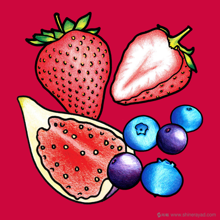 Figgin’ Fruit 無花果餅干包裝設(shè)計船長人物水果插畫設(shè)計篇-上海食品包裝設(shè)計公司7 Figgin’ Fruit 無花果餅干包裝設(shè)計船長人物水果插畫設(shè)計篇-上海食品包裝設(shè)計公司7