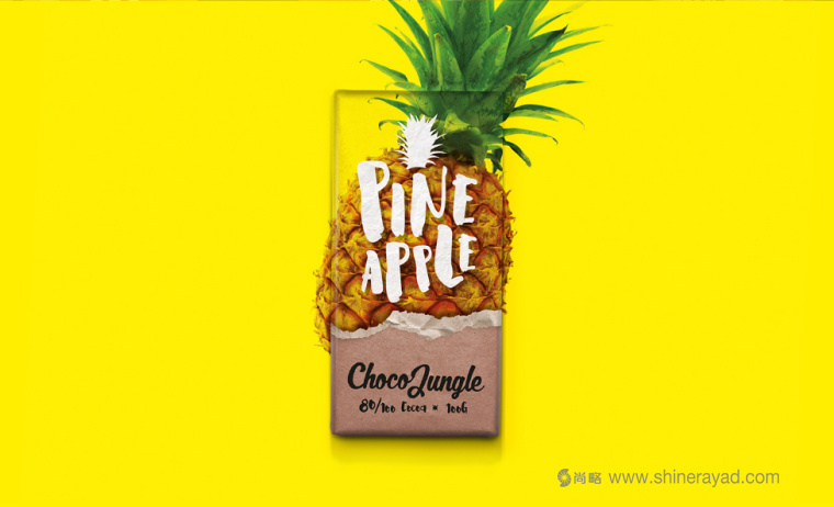 水果特寫插畫風(fēng)格 Choco Jungle 巧克力包裝設(shè)計(jì)-上海包裝設(shè)計(jì)公司