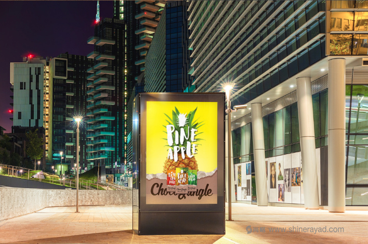 水果特寫插畫風(fēng)格 Choco Jungle 巧克力包裝設(shè)計(jì)-上海包裝設(shè)計(jì)公司