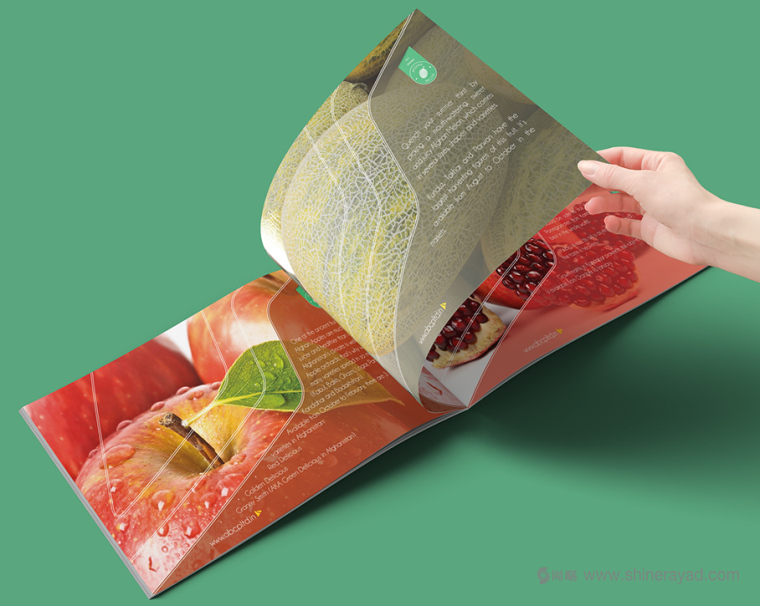 上海畫(huà)冊(cè)設(shè)計(jì)公司設(shè)計(jì)欣賞-高大上水果干果農(nóng)產(chǎn)品品牌宣傳畫(huà)冊(cè)設(shè)計(jì)4 上海畫(huà)冊(cè)設(shè)計(jì)公司設(shè)計(jì)欣賞-高大上水果干果農(nóng)產(chǎn)品品牌宣傳畫(huà)冊(cè)設(shè)計(jì)4