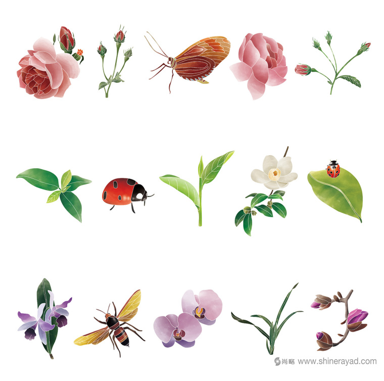 Rosehill 面膜包裝插畫設(shè)計清新茶花 - 瓢蟲-上海化妝品包裝設(shè)計公司9 Rosehill 面膜包裝插畫設(shè)計清新茶花 - 瓢蟲-上?;瘖y品包裝設(shè)計公司9