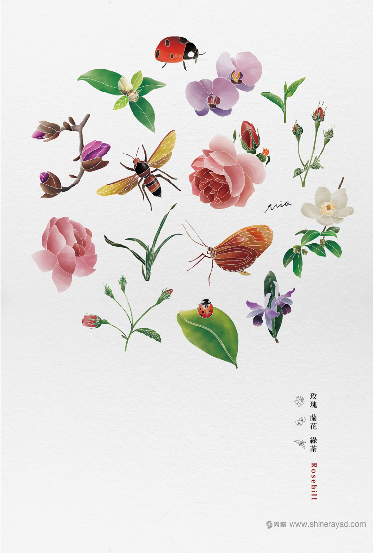 Rosehill 面膜包裝插畫設(shè)計-上?;瘖y品包裝設(shè)計公司4 Rosehill 面膜包裝插畫設(shè)計-上?;瘖y品包裝設(shè)計公司4