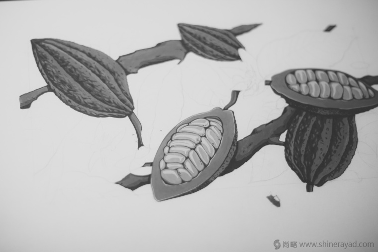 國外手繪植物花卉插畫風(fēng)格洋酒包裝設(shè)計-curio杜松子酒和伏特加酒包裝設(shè)計4 國外手繪植物花卉插畫風(fēng)格洋酒包裝設(shè)計-curio杜松子酒和伏特加酒包裝設(shè)計4