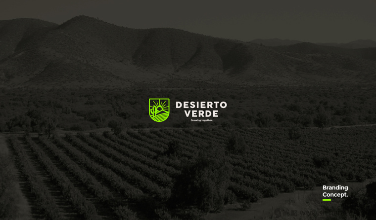 Desierto Verde 有機農(nóng)產(chǎn)品品品牌LOGO設(shè)計-上海LOGO設(shè)計公司1