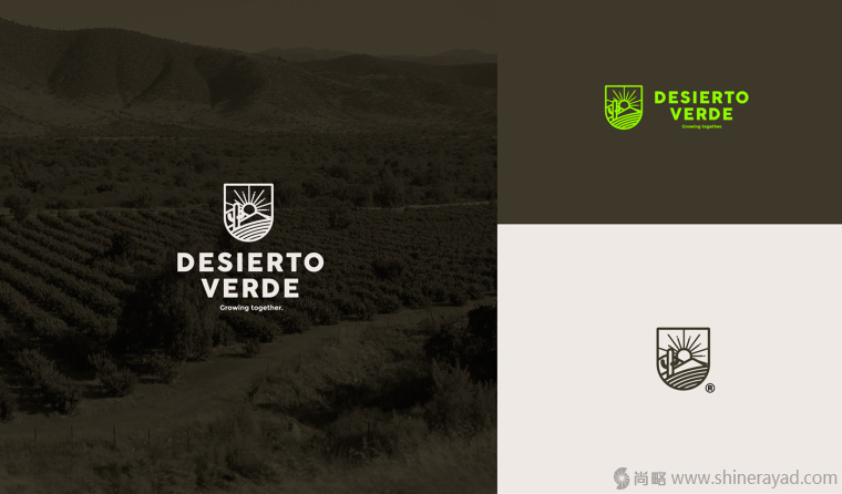 Desierto Verde 有機農(nóng)產(chǎn)品品品牌LOGO設(shè)計-上海LOGO設(shè)計公司3