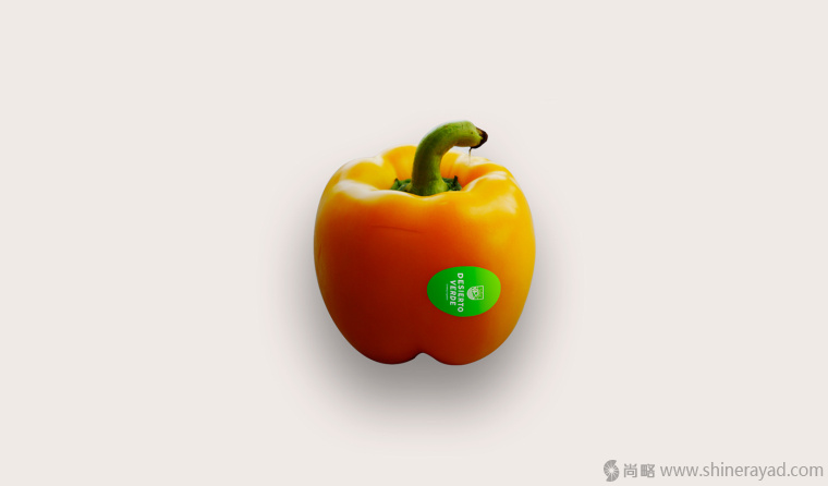 Desierto Verde 有機農(nóng)產(chǎn)品品品牌LOGO設(shè)計-上海LOGO設(shè)計公司8